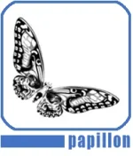 Papillon